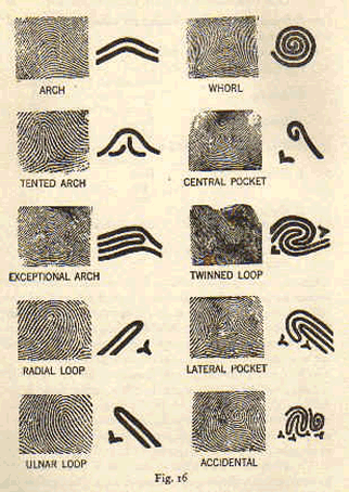 fingerprint types